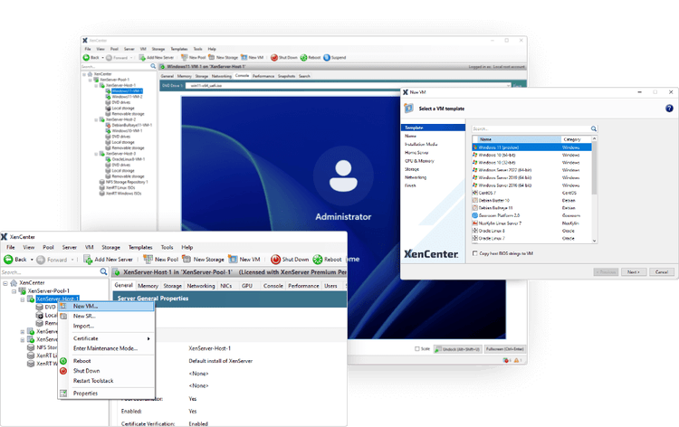 Various views of XenServer user interfaces